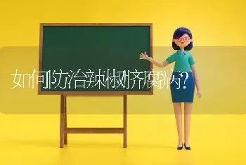 如何防治辣椒脐腐病?