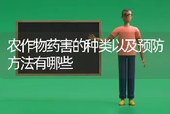 农作物药害的种类以及预防方法有哪些