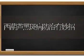 西葫芦黑斑病防治有妙招