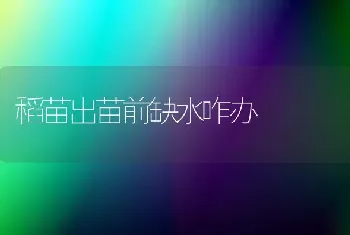 稻苗出苗前缺水咋办