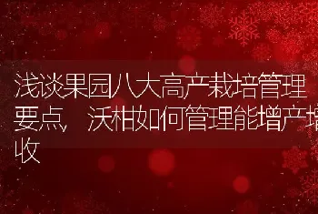 浅谈果园八大高产栽培管理要点