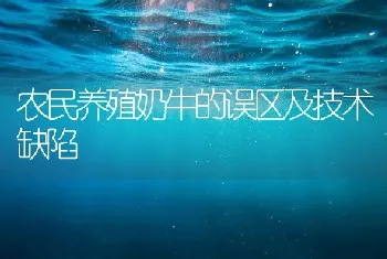 农民养殖奶牛的误区及技术缺陷