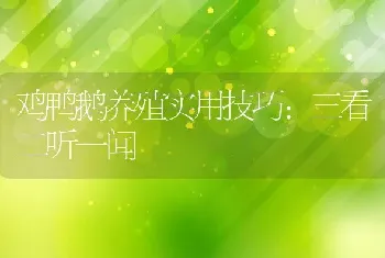 鸡鸭鹅养殖实用技巧:三看二听一闻