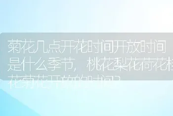 为什么口水很臭