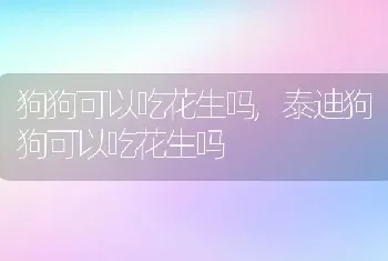 狗狗可以吃花生吗,泰迪狗狗可以吃花生吗