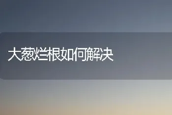 大葱烂根如何解决