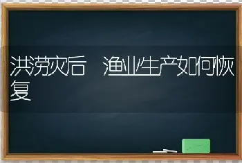 洪涝灾后 渔业生产如何恢复