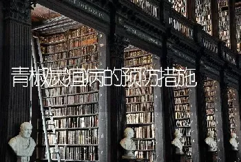 青椒炭疽病的预防措施