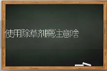 使用除草剂需注意啥