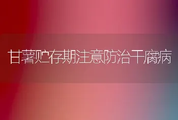 甘薯贮存期注意防治干腐病