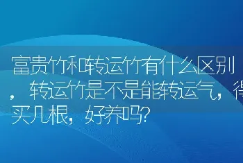 富贵竹和转运竹有什么区别