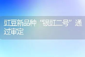 豇豆新品种“银豇二号”通过审定