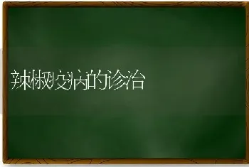 辣椒疫病的诊治