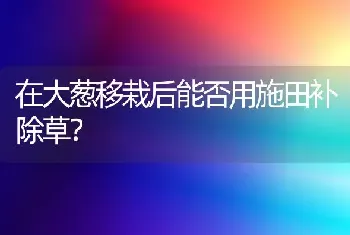 在大葱移栽后能否用施田补除草?