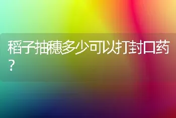 稻子抽穗多少可以打封口药?