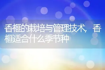 香榧的栽培与管理技术