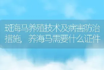 斑海马养殖技术及病害防治措施