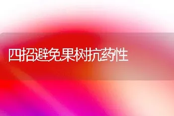 柿树整形修剪技术要点