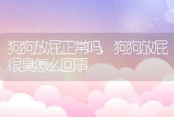 狗狗放屁正常吗,狗狗放屁很臭怎么回事