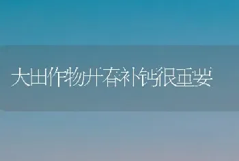 大田作物开春补钙很重要