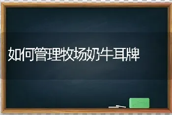 如何管理牧场奶牛耳牌