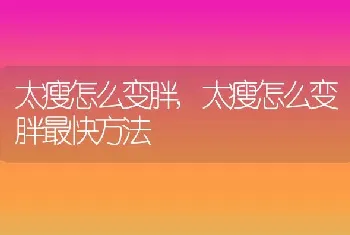 太瘦怎么变胖