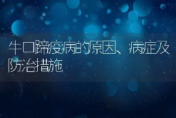 牛口蹄疫病的原因、病症及防治措施