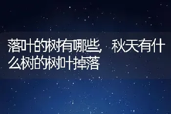 落叶的树有哪些