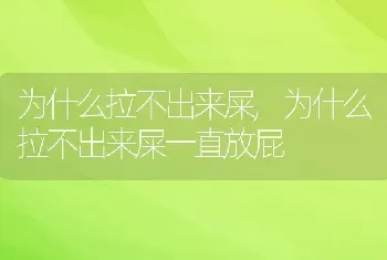 为什么拉不出来屎,为什么拉不出来屎一直放屁