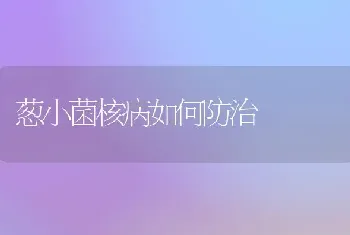 葱小菌核病如何防治