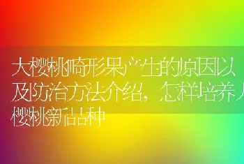 大樱桃畸形果产生的原因以及防治方法介绍