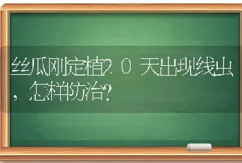 丝瓜刚定植20天出现线虫,怎样防治?