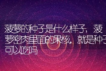 菠萝的种子是什么样子