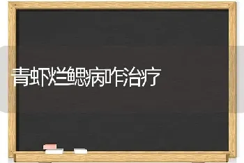 青虾烂鳃病咋治疗