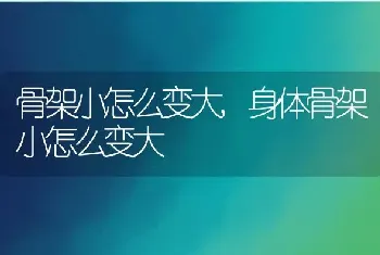 骨架小怎么变大,身体骨架小怎么变大