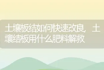 土壤板结如何快速改良