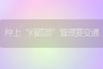 种上“问题苗”管理要变通