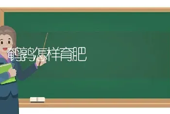 鹌鹑怎样育肥