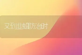 又到韭蛆防治时