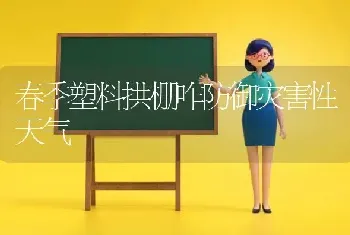 春季塑料拱棚咋防御灾害性天气