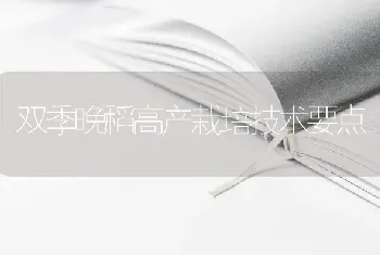 双季晚稻高产栽培技术要点