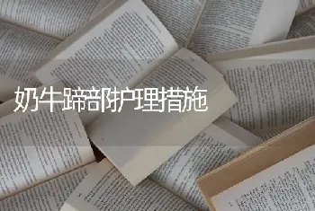 奶牛蹄部护理措施