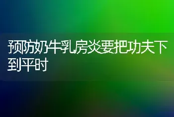 预防奶牛乳房炎要把功夫下到平时