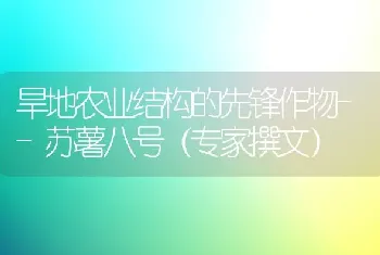 旱地农业结构的先锋作物--苏薯八号(专家撰文)