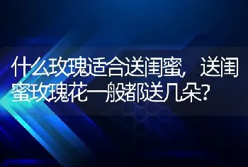 什么玫瑰适合送闺蜜