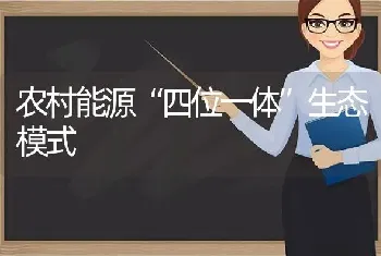 农村能源“四位一体”生态模式