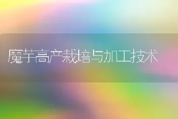 魔芋高产栽培与加工技术