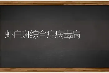 虾白斑综合症病毒病