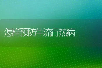 怎样预防牛流行热病