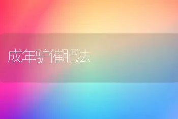 成年驴催肥法